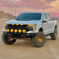 24+ Ford F-150 Raptor "Classic" Light Mount   🔥 Pre-Order Drop!🔥